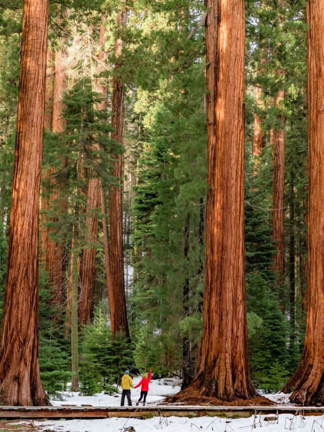 Most Beautiful National Parks In California