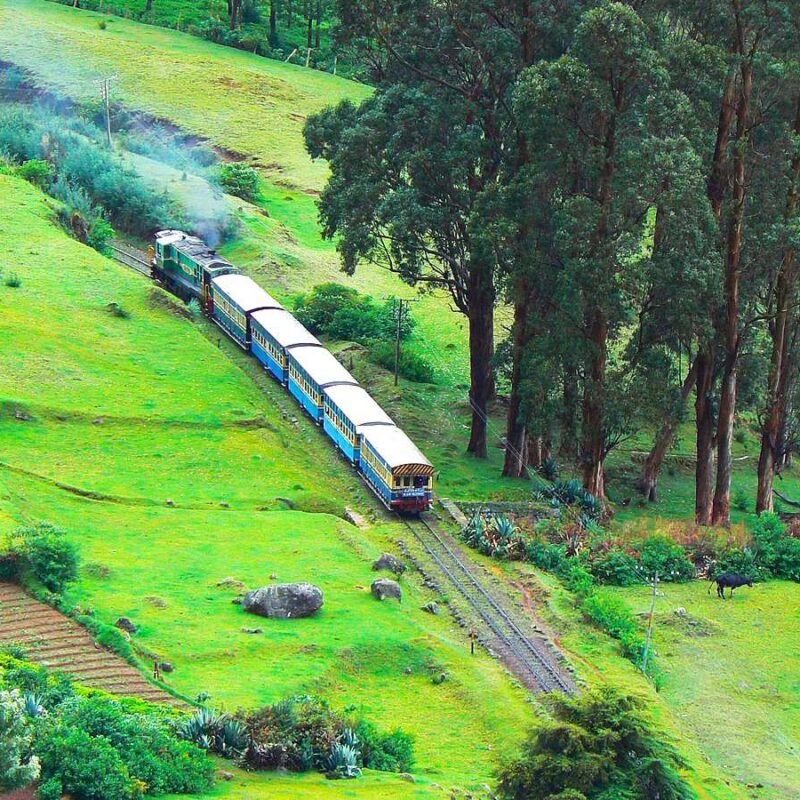 ooty tourist places list with images