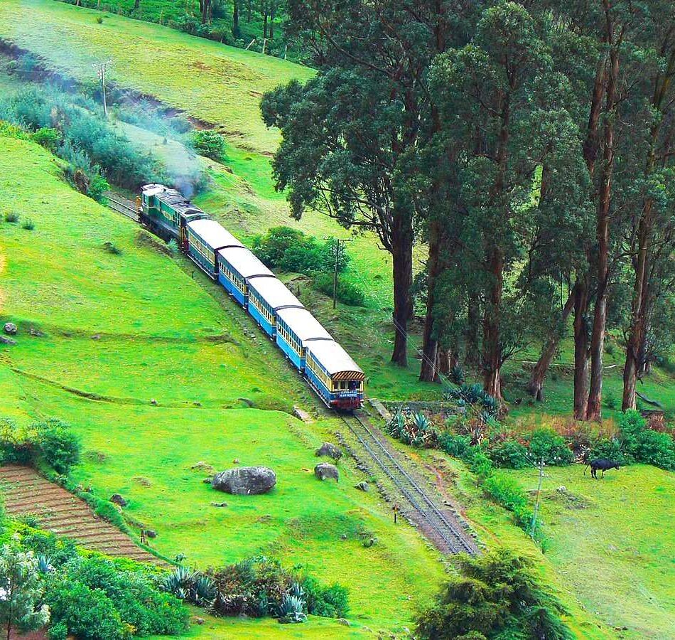 Ooty Tourist Places List with Images