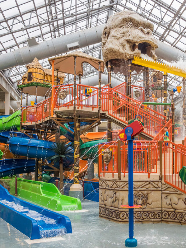 10 Best Water Parks In Chicago That You Should Visit This Time - 𝗧𝗼𝘂𝗿𝗬𝗮𝘁𝗿𝗮𝘀