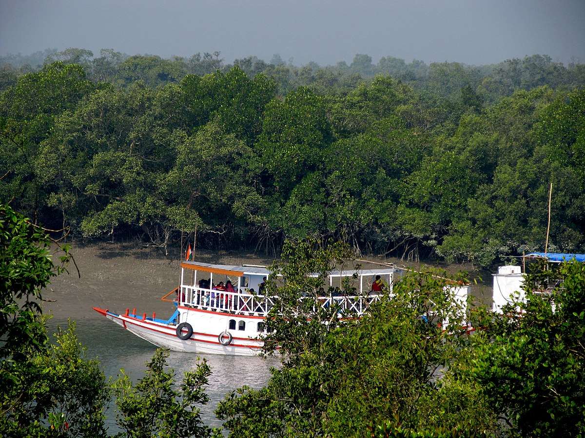How to reach Sundarban National Park from Kolkata?