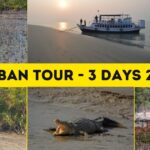 How to reach Sundarban National Park from Kolkata?