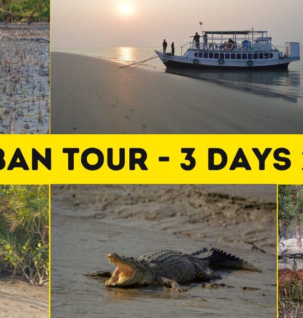 How to reach Sundarban National Park from Kolkata?