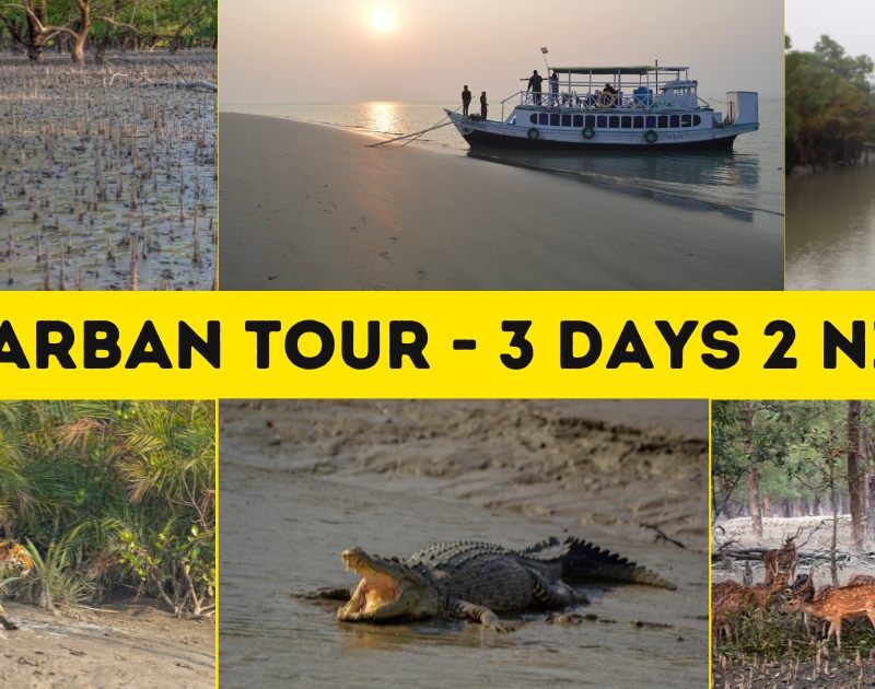 How to reach Sundarban National Park from Kolkata?