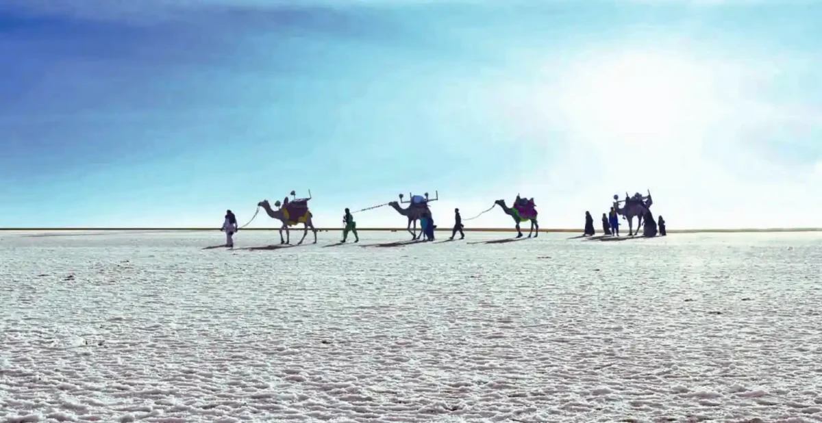 The Rann of Kutch