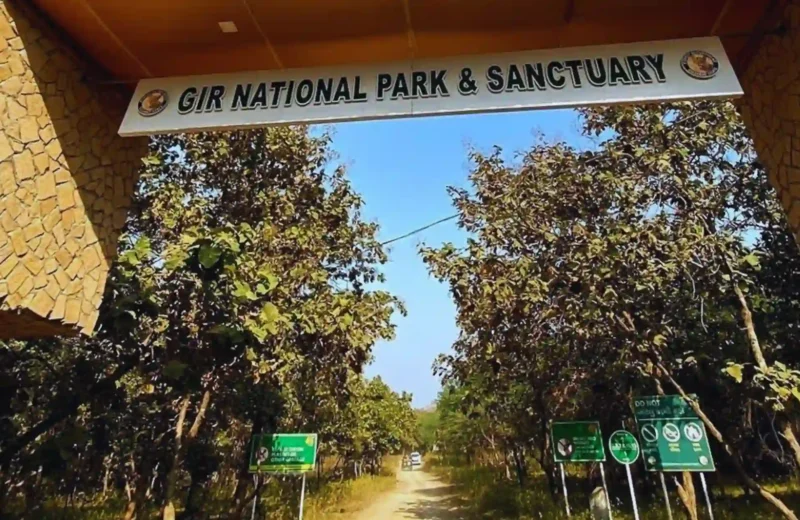 Gir National Park