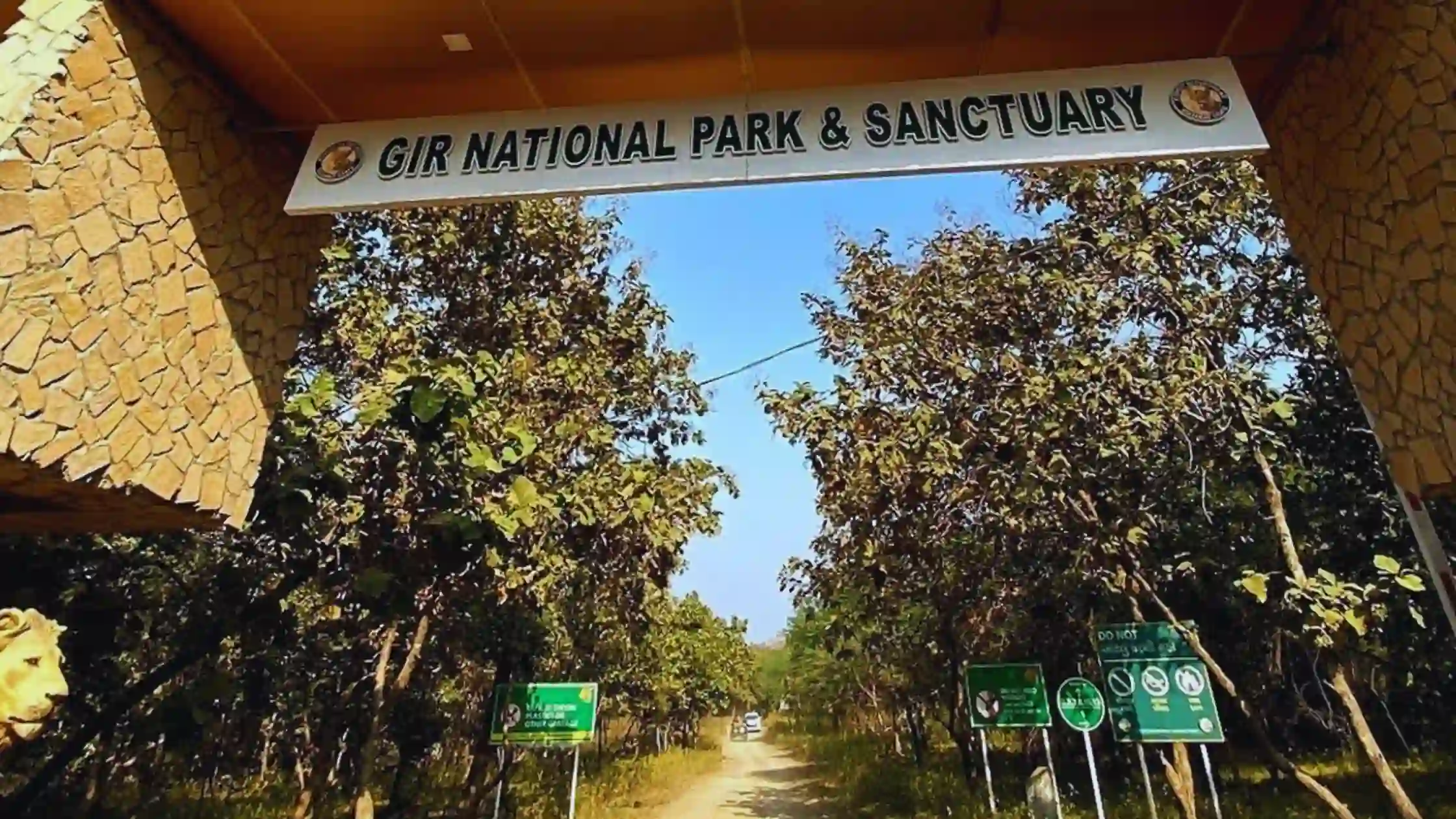 Gir National Park