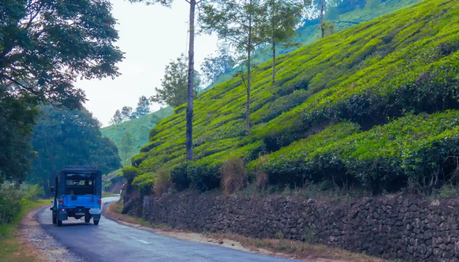 Tourist Guide in Munnar