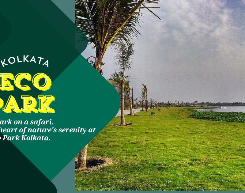 eco park kolkata image