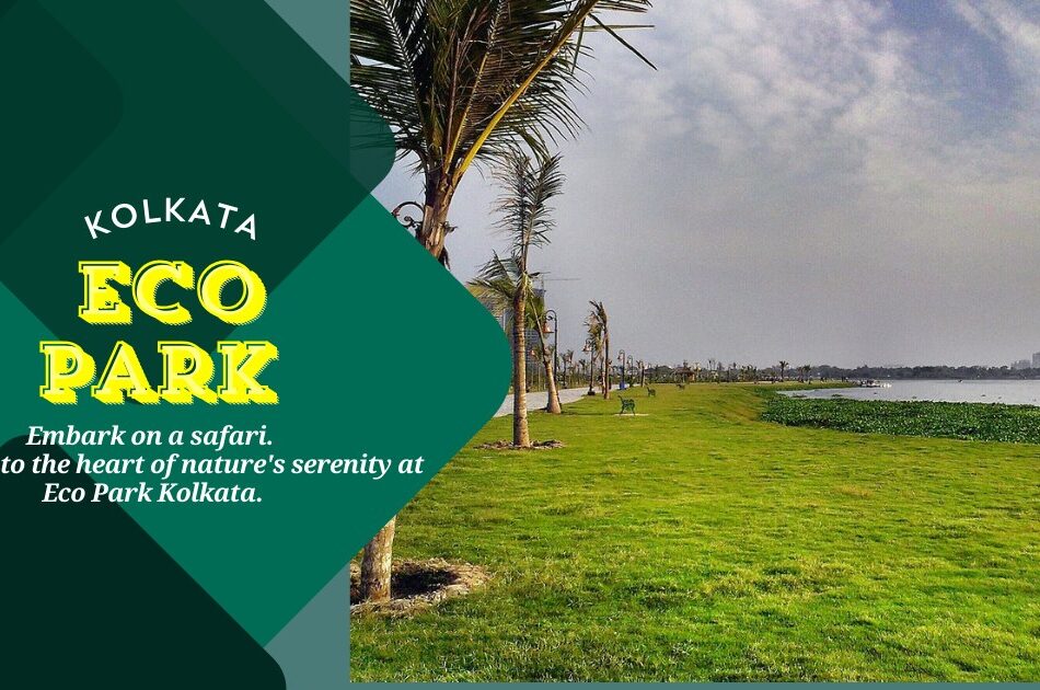 Eco Park Kolkata | Eco Tourism Park, Kolkata