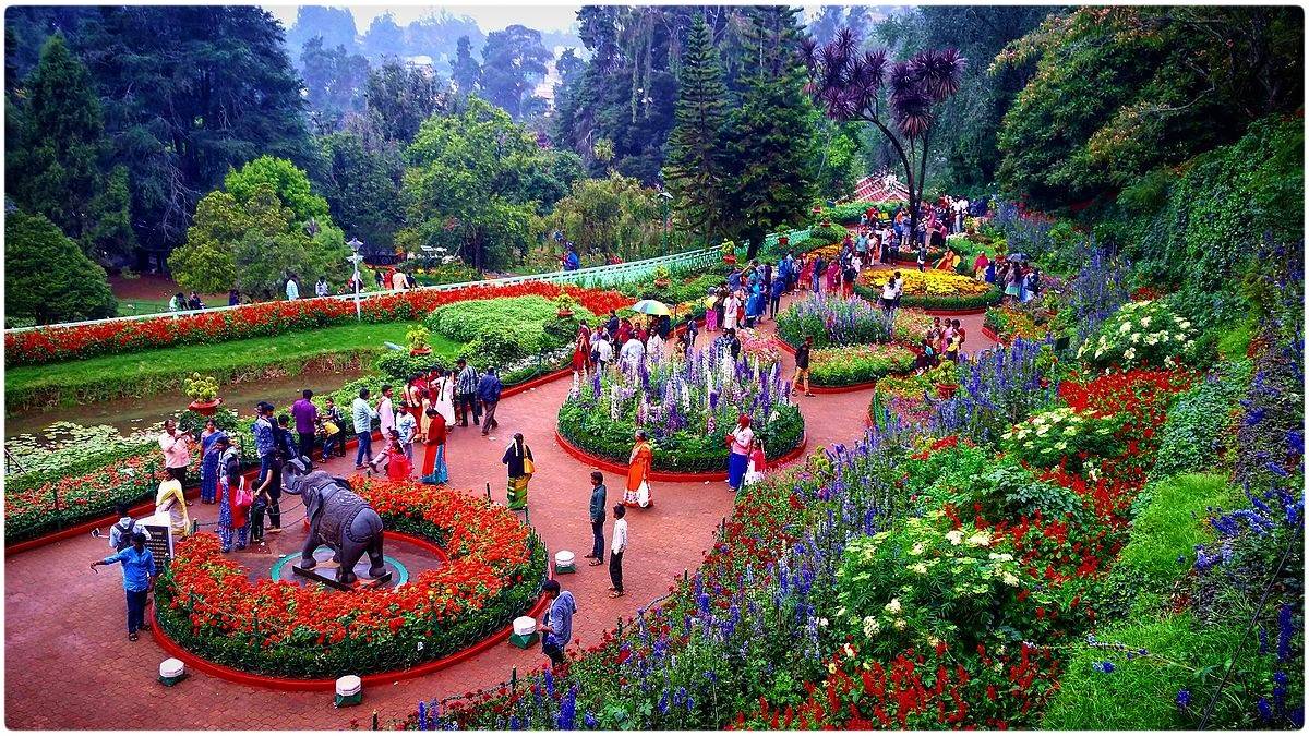 ooty tourist places latest